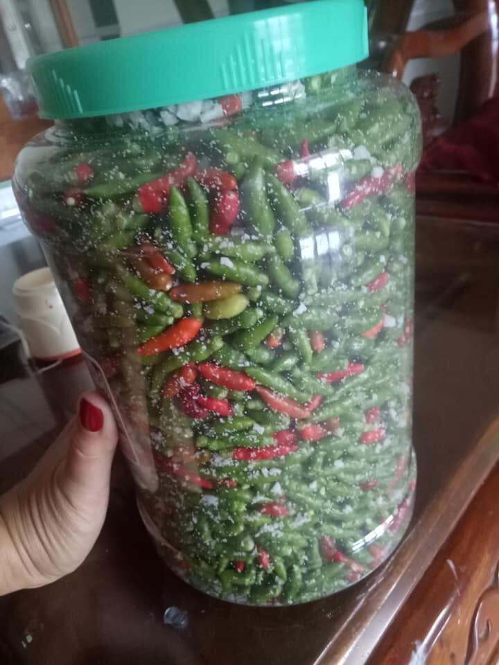 Ớt thóc sóc muối (bình 1kg giá 200.000)