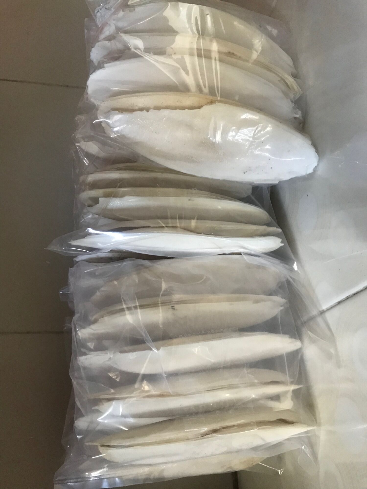 Nang mực khô KT 18-19cm/1cái