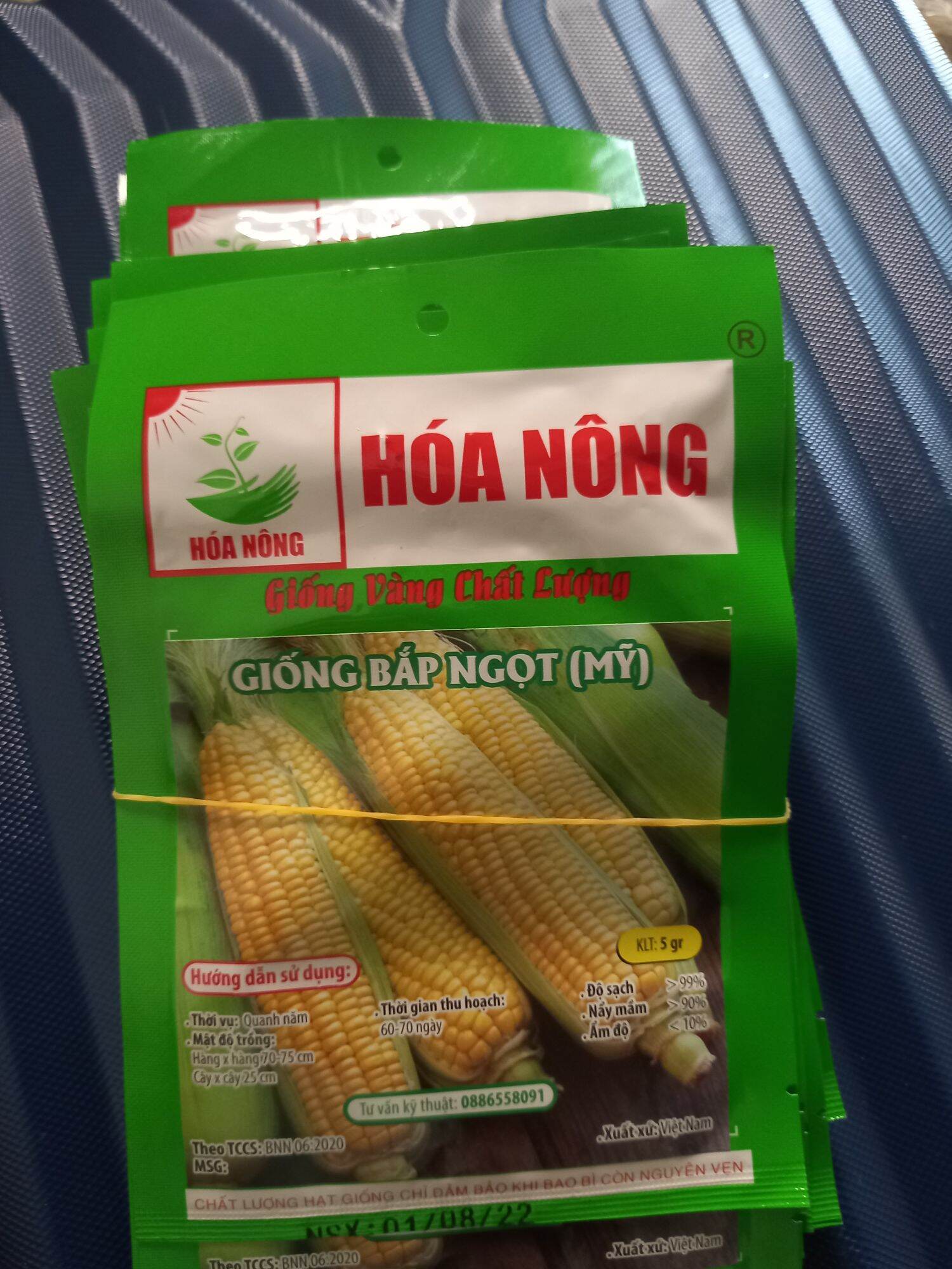 Hạt  bắp  Mỹ  trái to