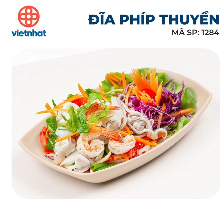 Combo 5 đĩa phíp hàng Cao cấp việt nhật