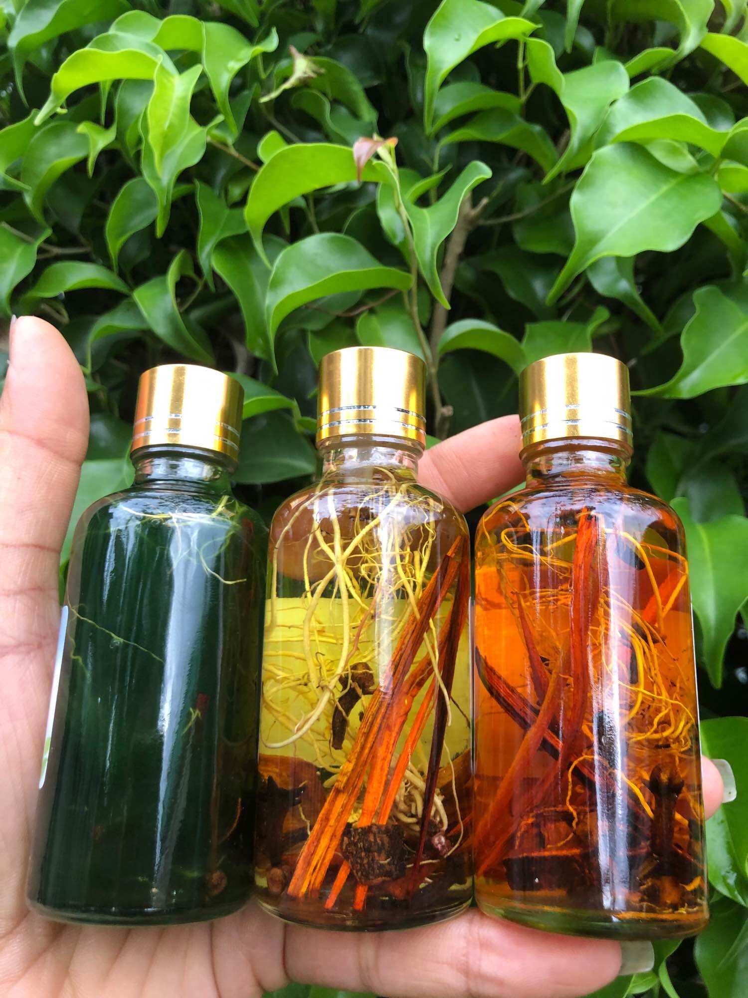 DẦU VIÊM XOANG XANH 50ML (RỄ THUỐC )