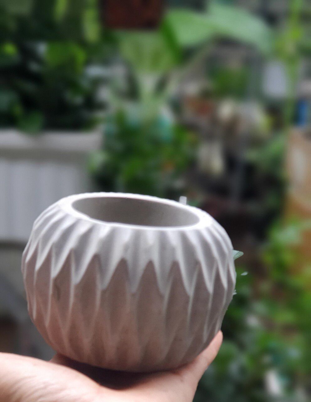 CHẬU TRỒNG SEN ĐÁ TRỒNG CÂY VINTAGE