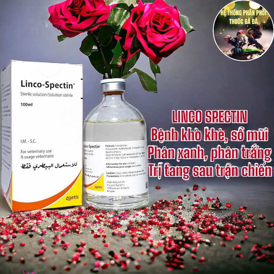 THUỐC GÀ ĐÁ LINCO SPECTIN CHUYÊN TRỊ TANG, KHÒ KHÈ, SỔ MŨI, PHÂN XANH, PHÂN TRẮNG CHO GÀ ĐÁ