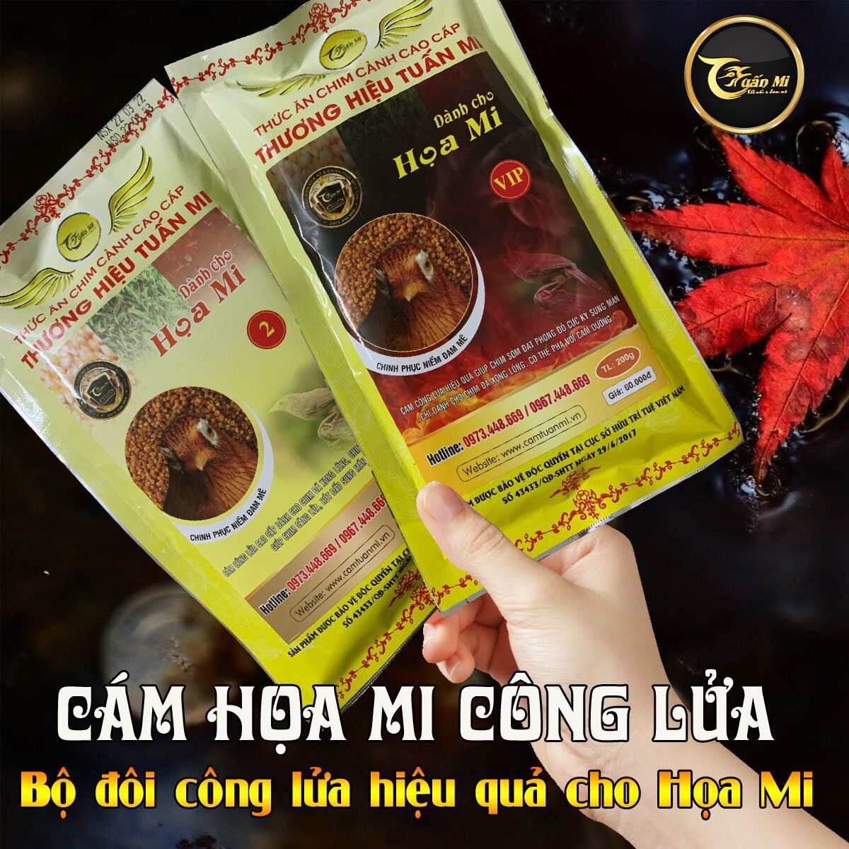 Combo cám họa mi số 1 & 2