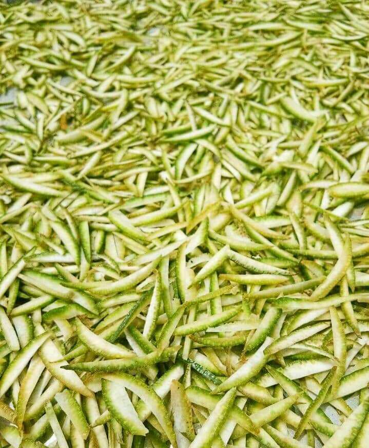 Trà Vỏ Bưởi Hương Hoa Bưởi -6 Thương 125g /Vỏ Bưởi Khô Hỗ Trợ Giảm Mỡ Máu, Giảm Cân