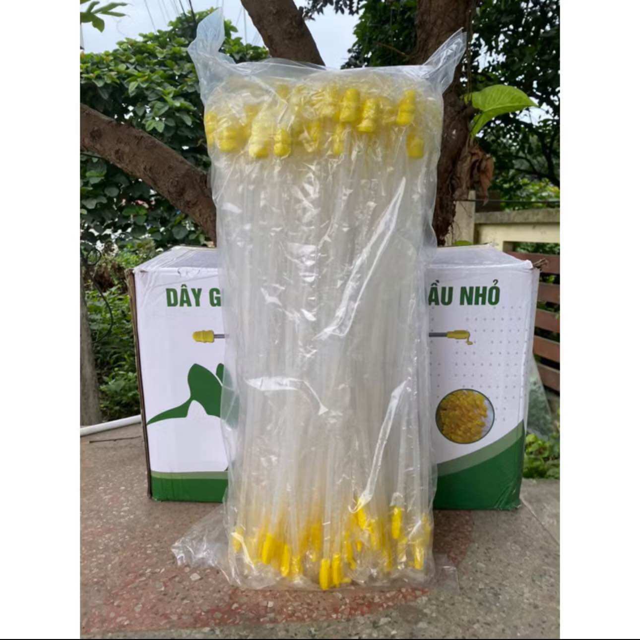 Que Phối Tinh Heo, Combo 10, 100 Que Phối Nông Đầu To Và Nhỏ