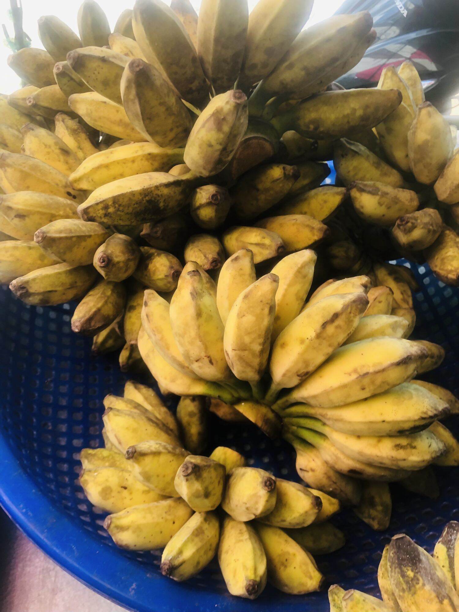 1Kg- Chuối xiêm xanh