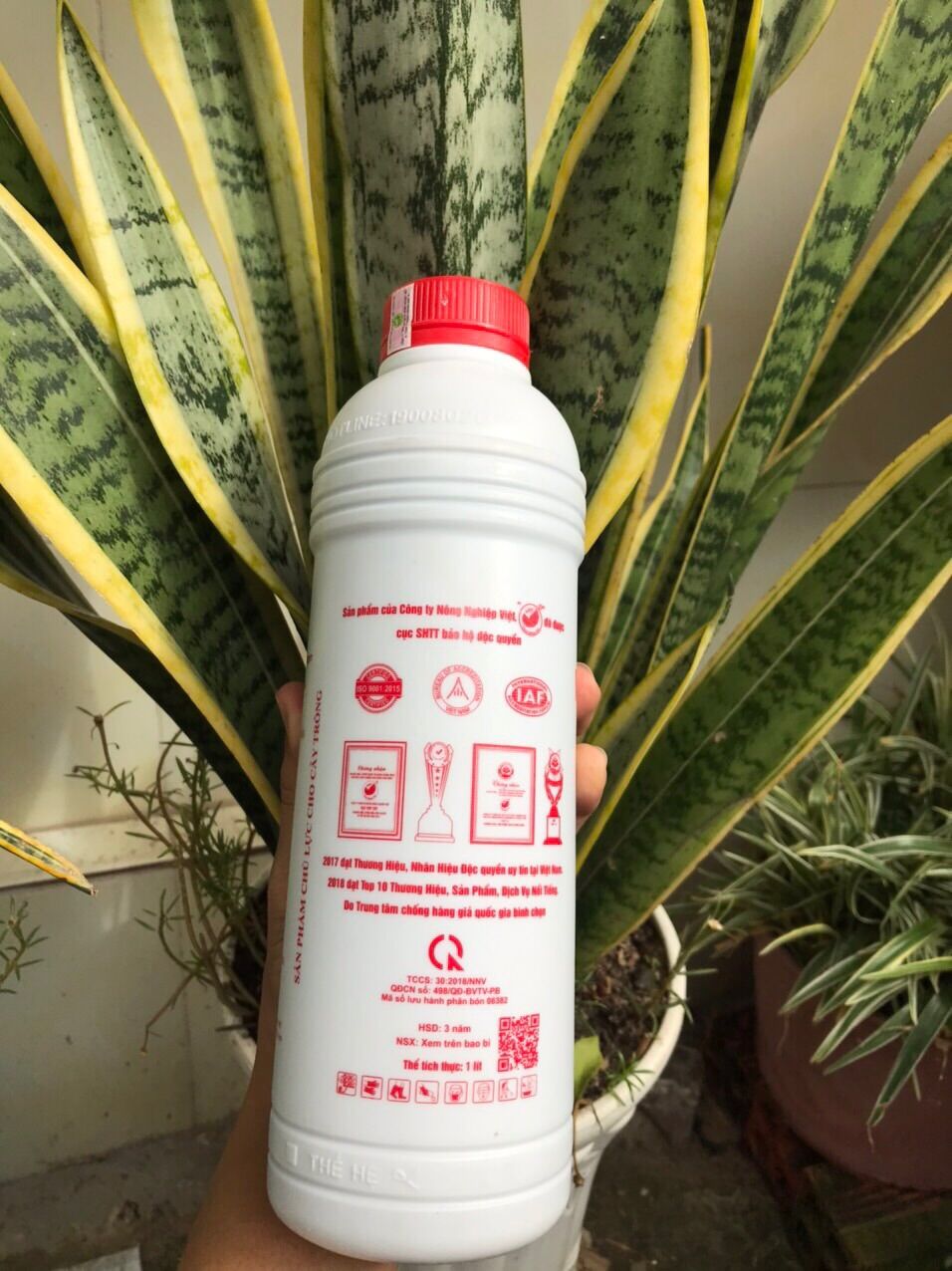 Siêu dưỡng Max root bung đọt ra rễ cực mạnh chai 1L