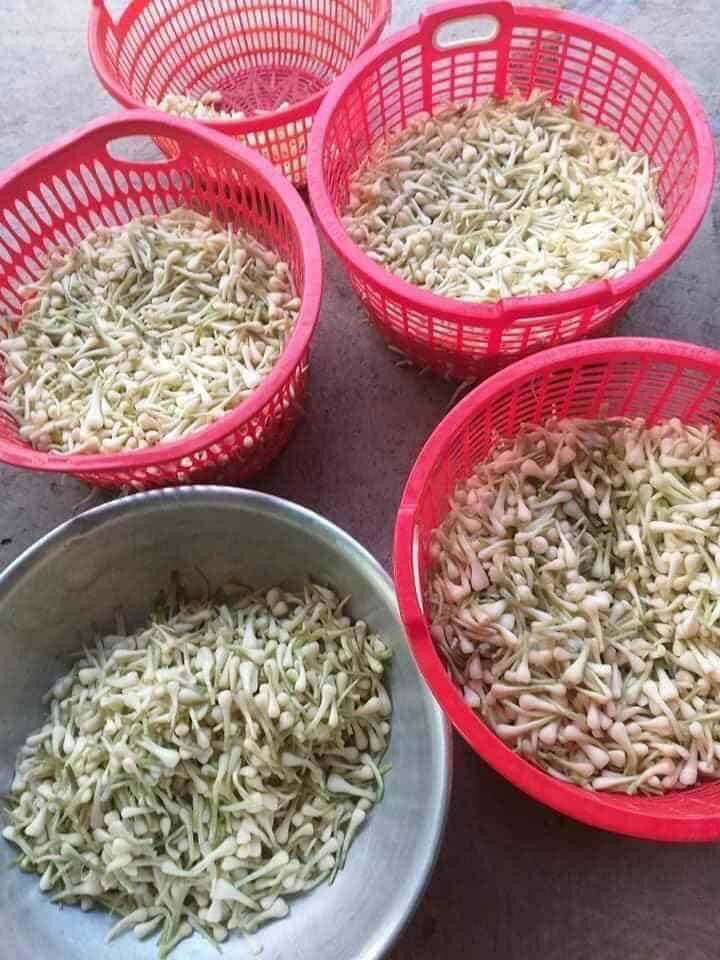 Củ kiệu nhà làm 500g không cân nước