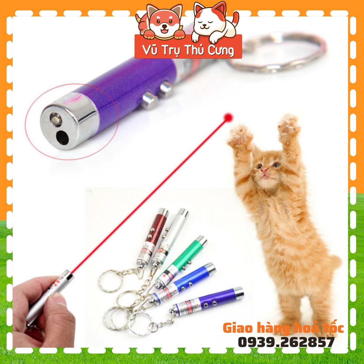 Đồ chơi đèn Laze trêu mèo, đèn Laser cho mèo đuổi bắt, tặng kèm pin