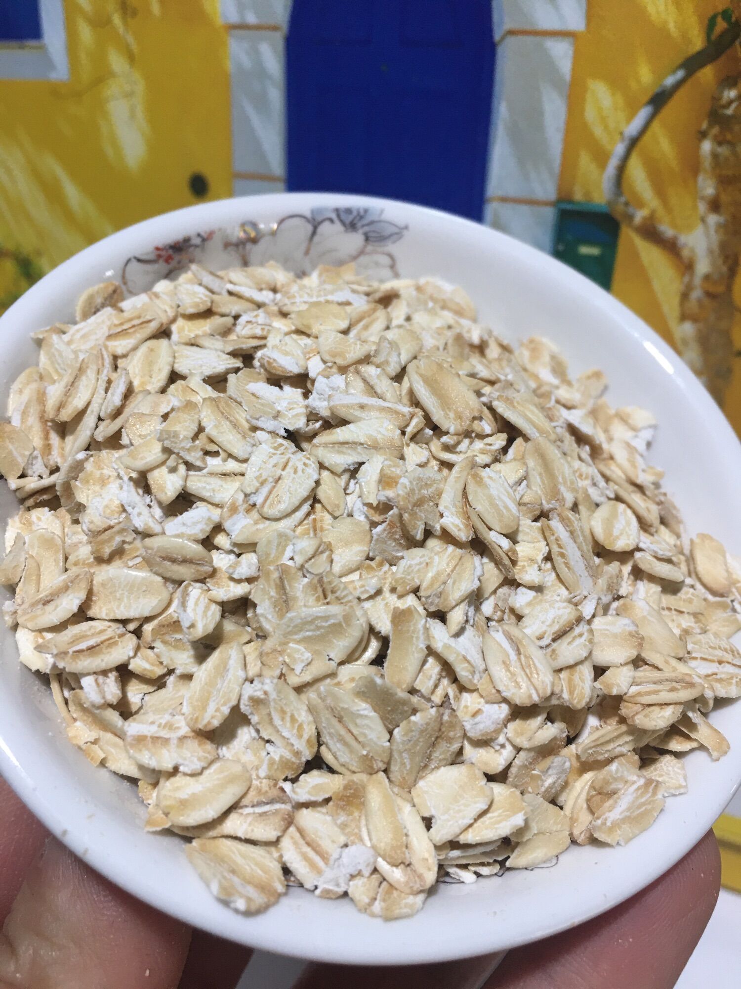 Yến mạch nguyên cám (nhập khẩu Đức) 500gr