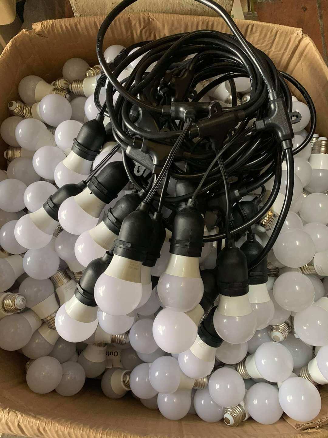 Combo 5m -10 đui kèm bóng led 3w