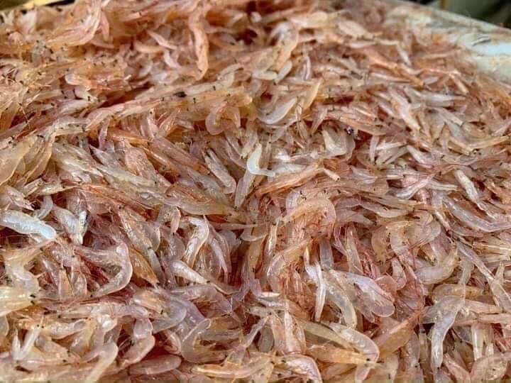 1kg thịt Đà Điểu file (hoả tốc)