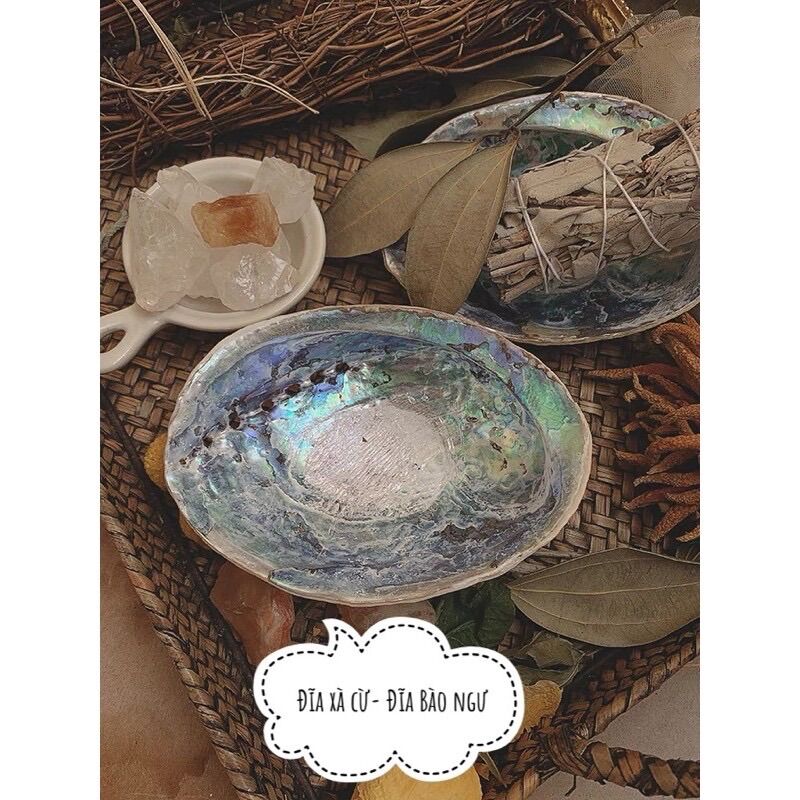 Đĩa ốc Xà Cừ- Đĩa đốt sage