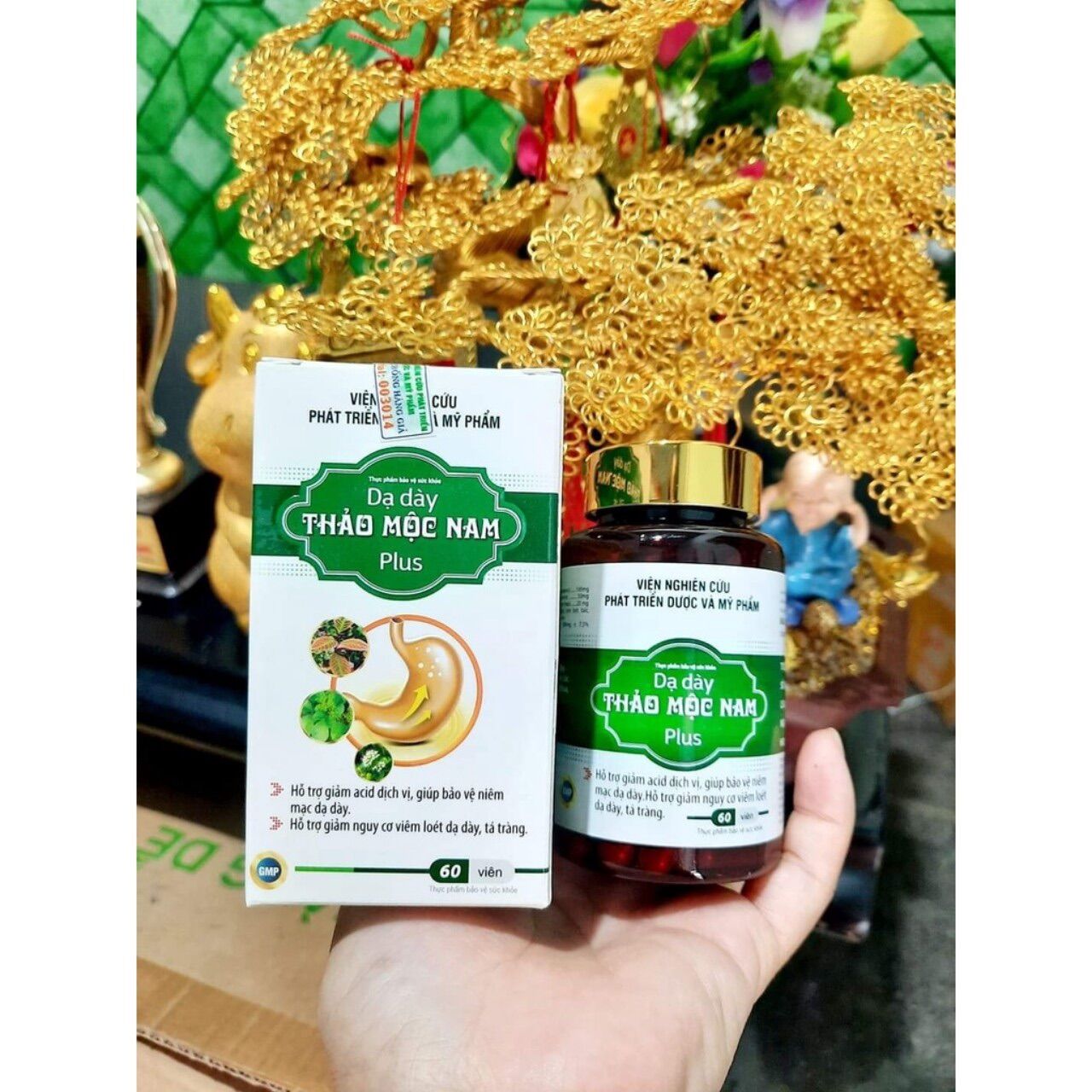 DẠ DÀY THẢO MỘC NAM