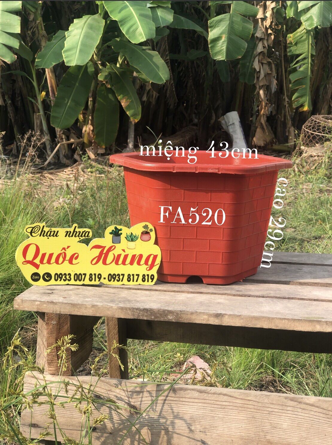 Combo 10 chậu fa520 đỏ