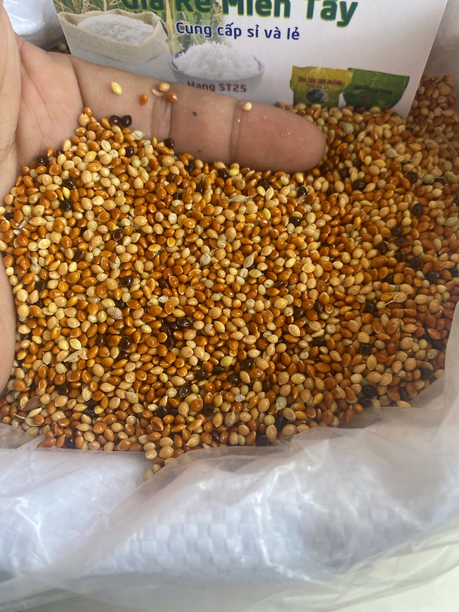 500gram cỏ thái dành cho chim, cu , gáy ..vv..