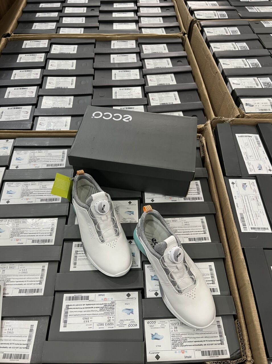 giày Ecco nữ cao cấp (Minh golf)