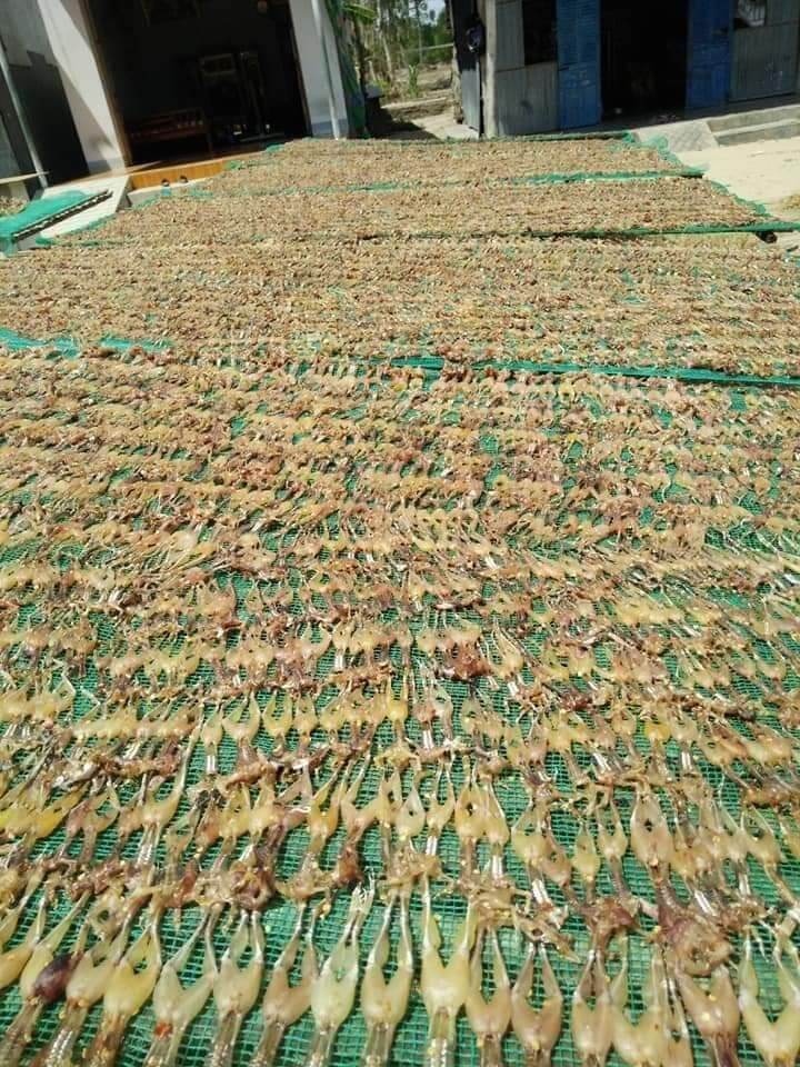 Khô Nhái Cơm ( Vũ nữ chân dài) - 500g