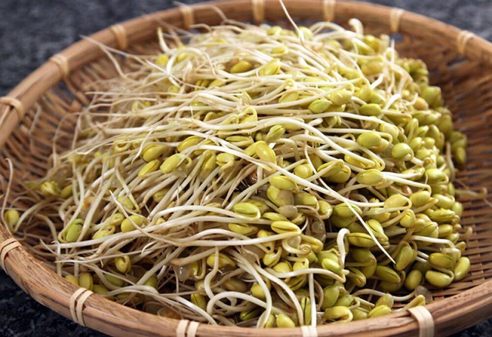 1kg Đậu nành làm giá đỗ