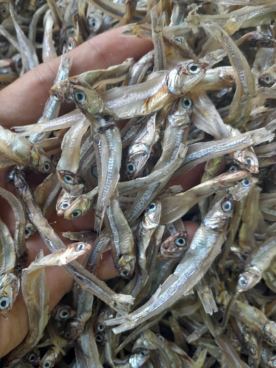 Khô cá cơm lạt ngon 1 ký