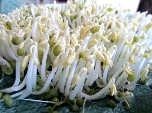 [hcm] 500g đậu xanh nguyên hạt