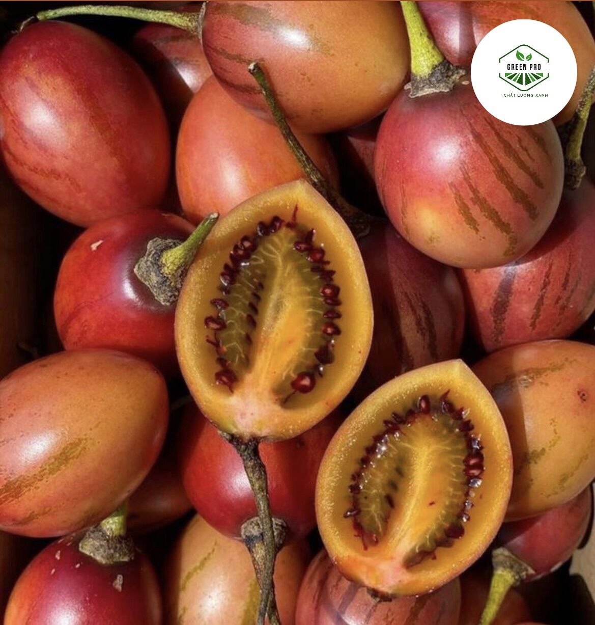 1kg cà chua thân gỗ