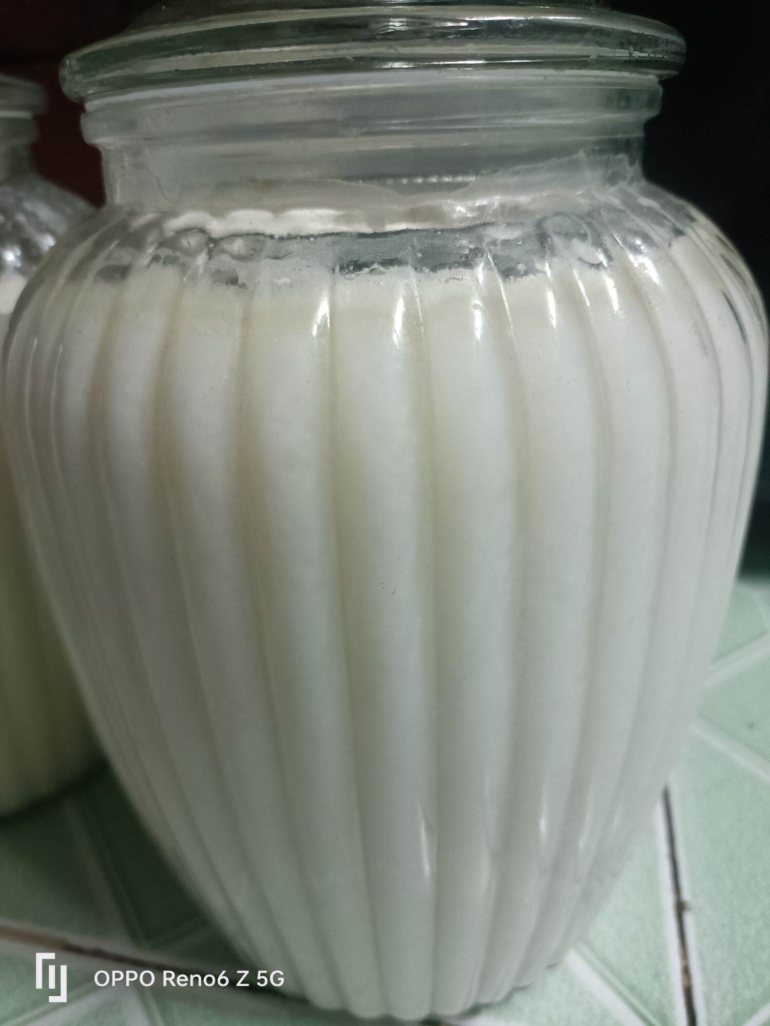MẺ CHUA (cơm mẻ) Dùng hoặc nuôi lại