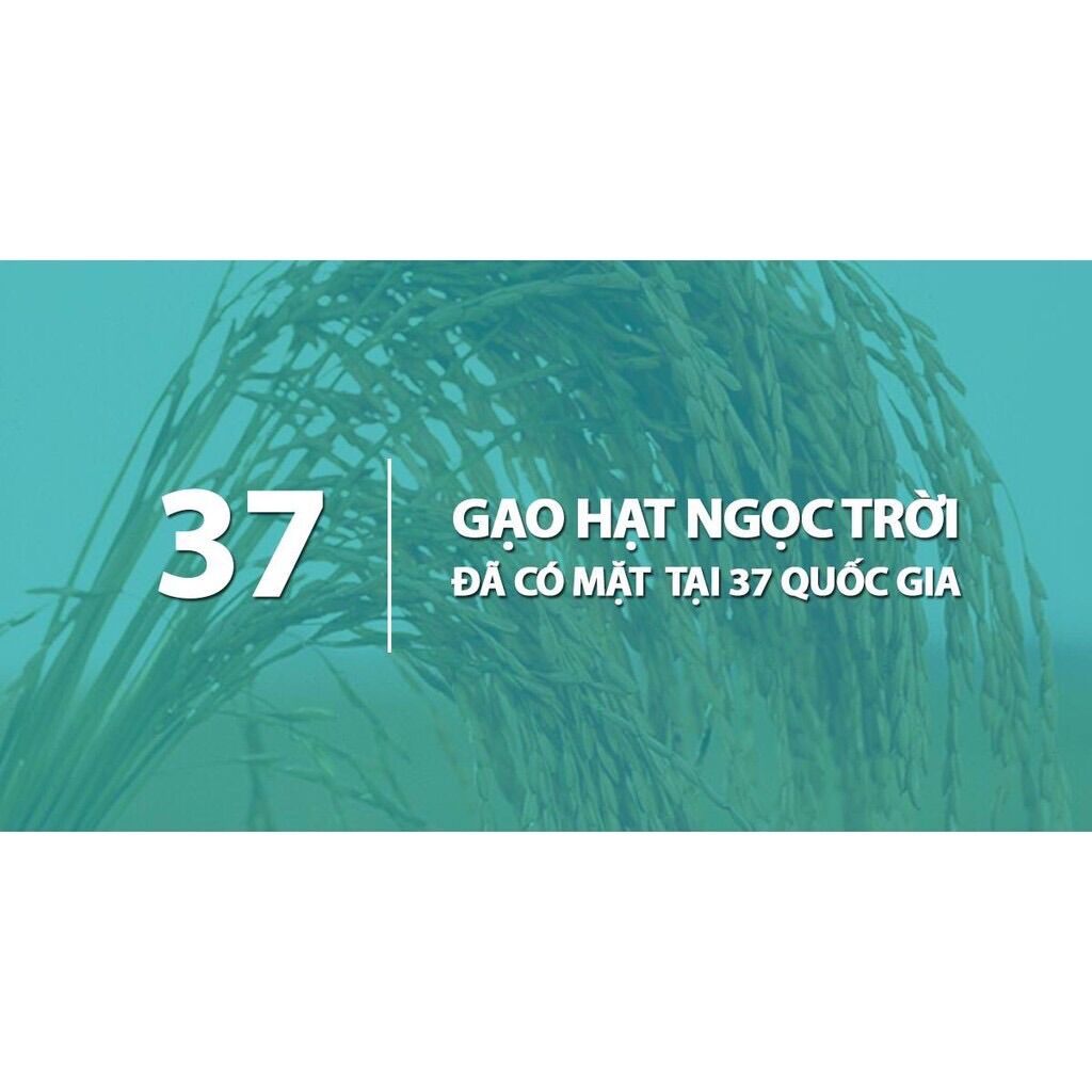 Gạo mầm vibigaba
