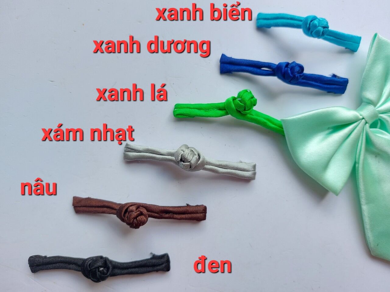 cúc tàu dạng cây với nhiều màu