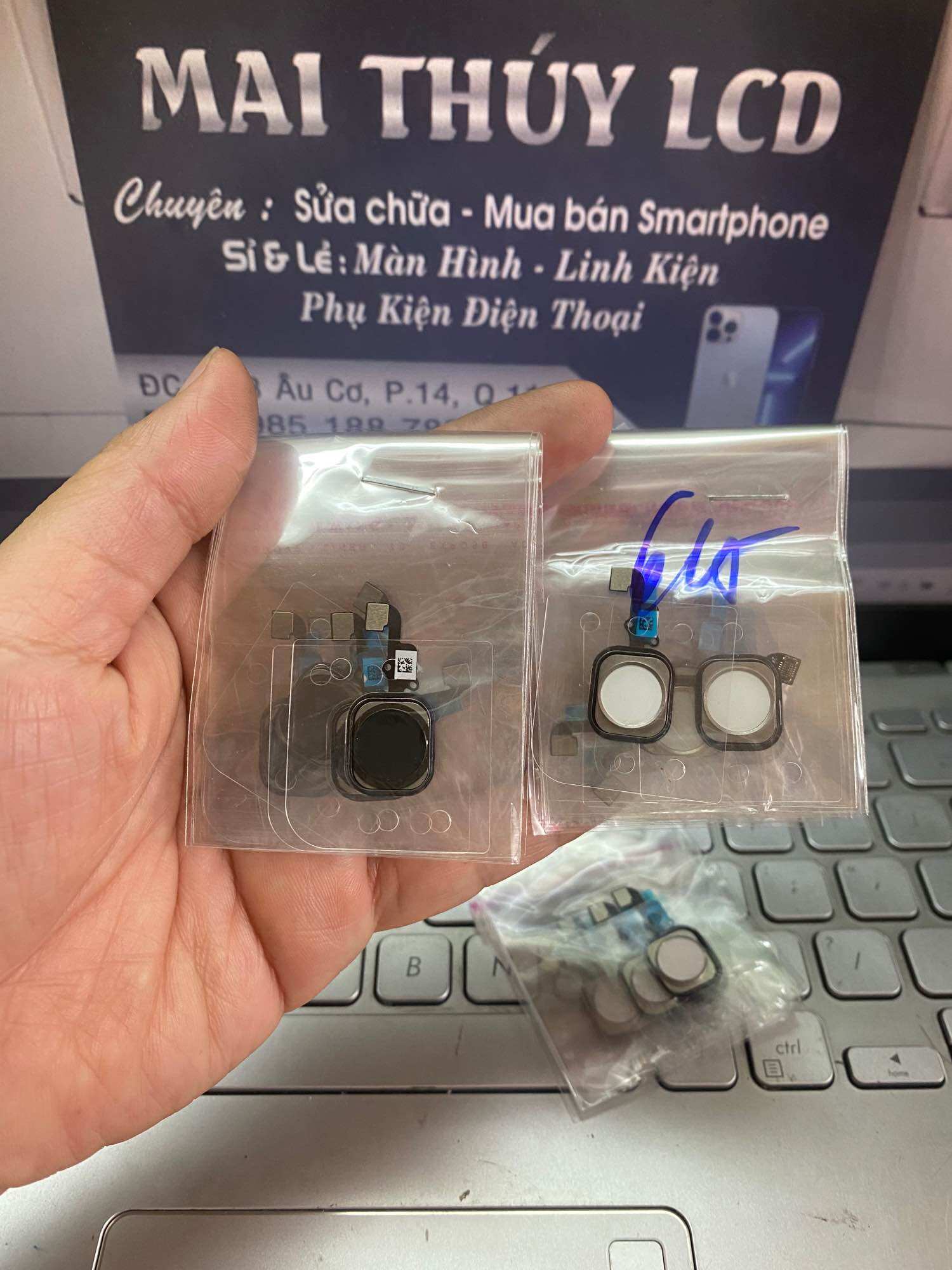 Home 6g/6p