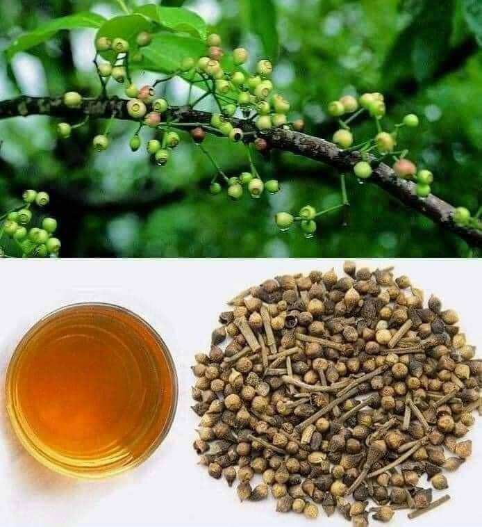 Nụ vối khô 1kg