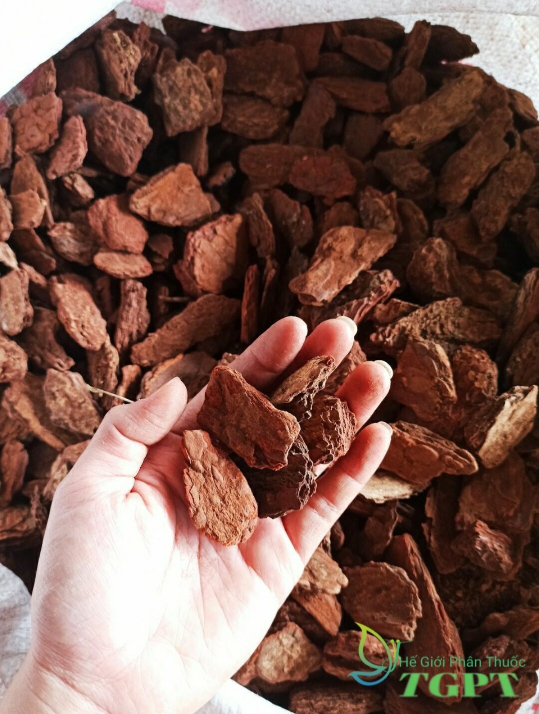 Vỏ Thông Xay Bo Size 3-4cm Túi 1Kg