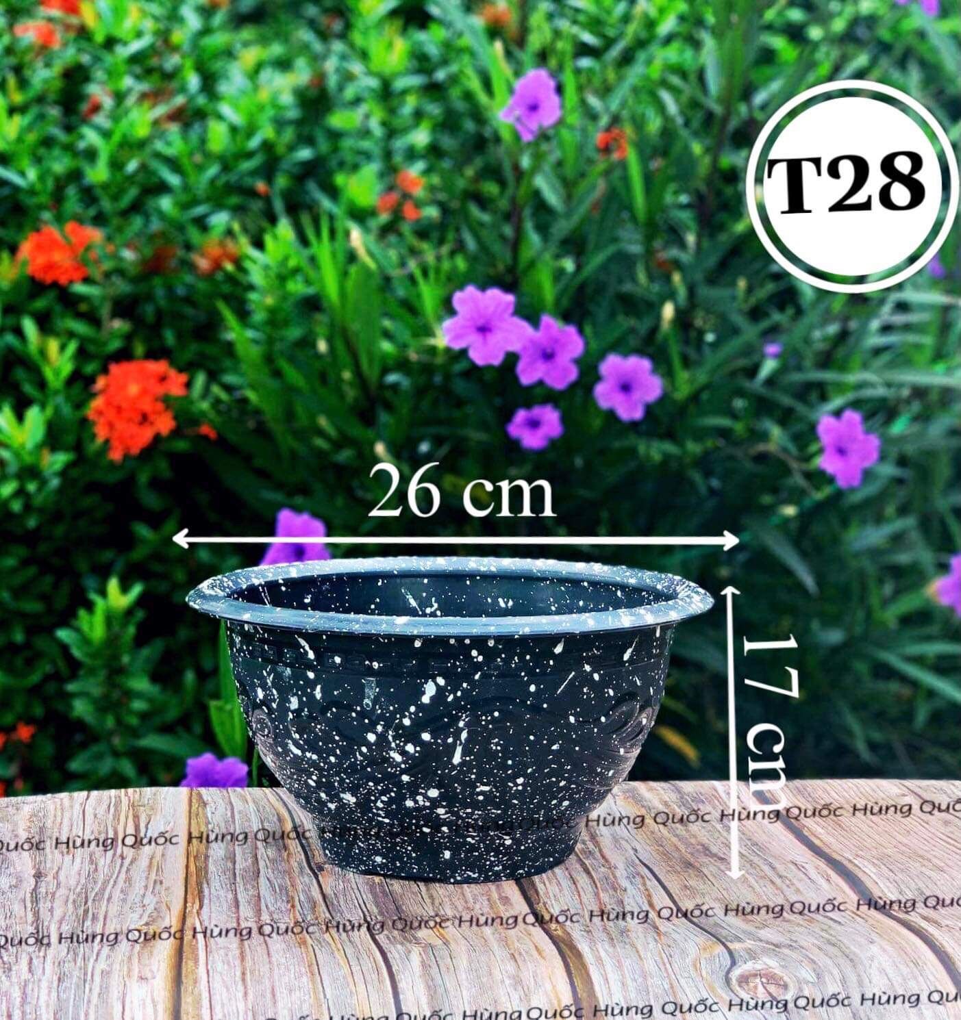 Chậu nhựa trồng cây T28