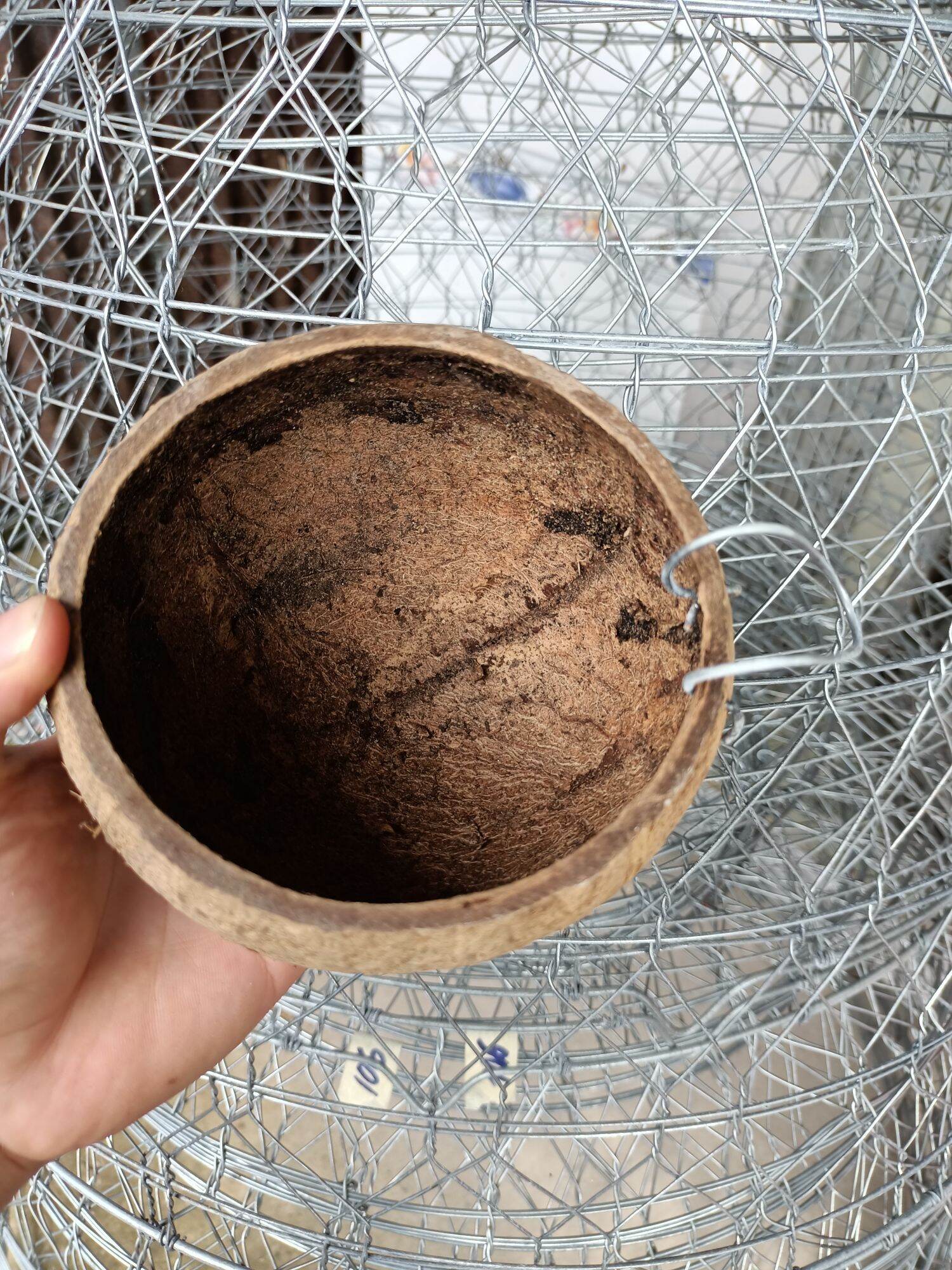 gáo dừa cho gà, chim đựng thức ăn, nước uống