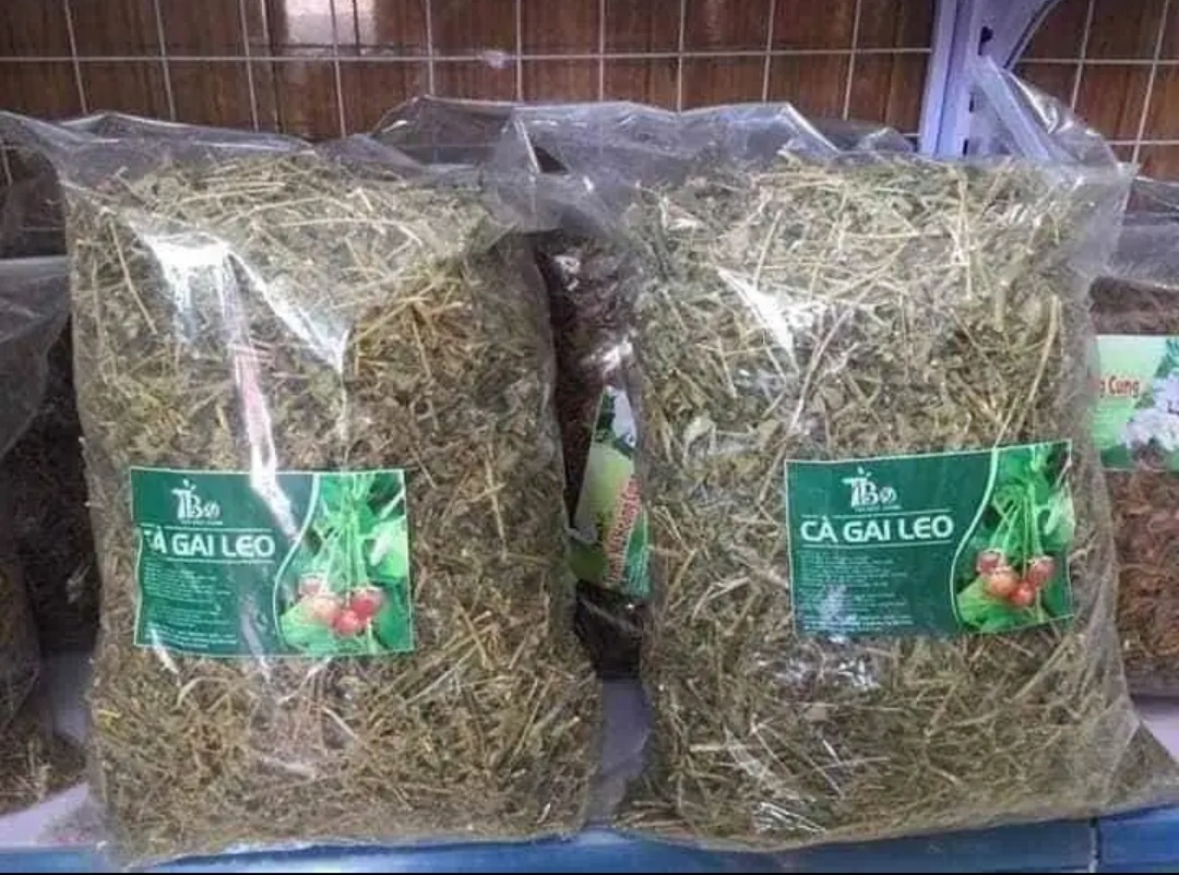 Cà gai leo, cà gai leo khô Hòa Bình ( 1Kg) mát gan
