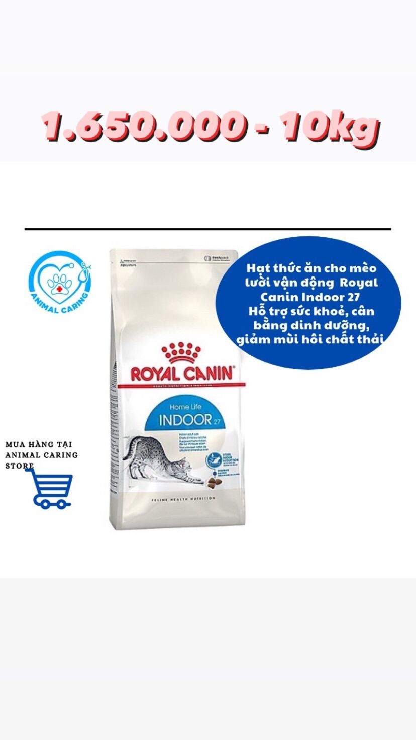 Hạt Royal Canin Indoor 10kg dành cho mèo nuôi trong nhà