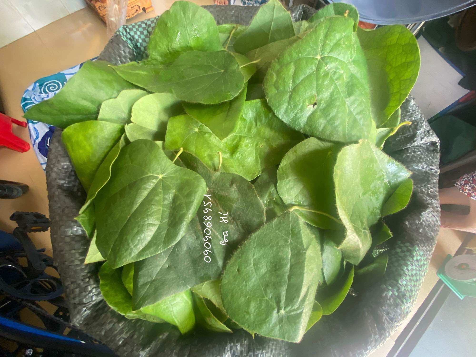 Lá sương sâm lông củ hữu cơ (300gr)