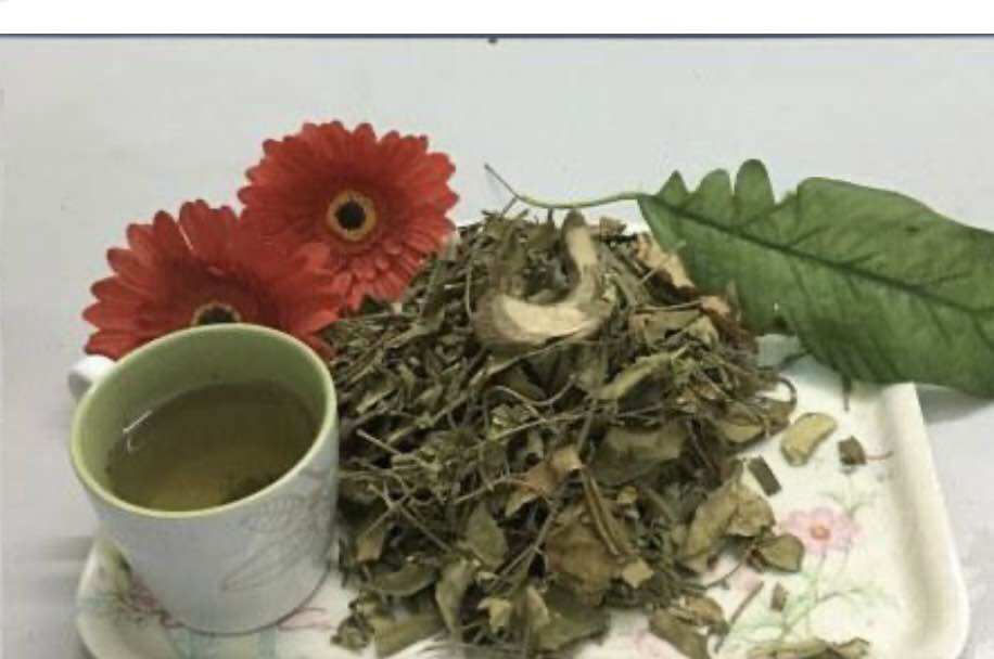 Thìa canh Hải Hậu -Nam Định