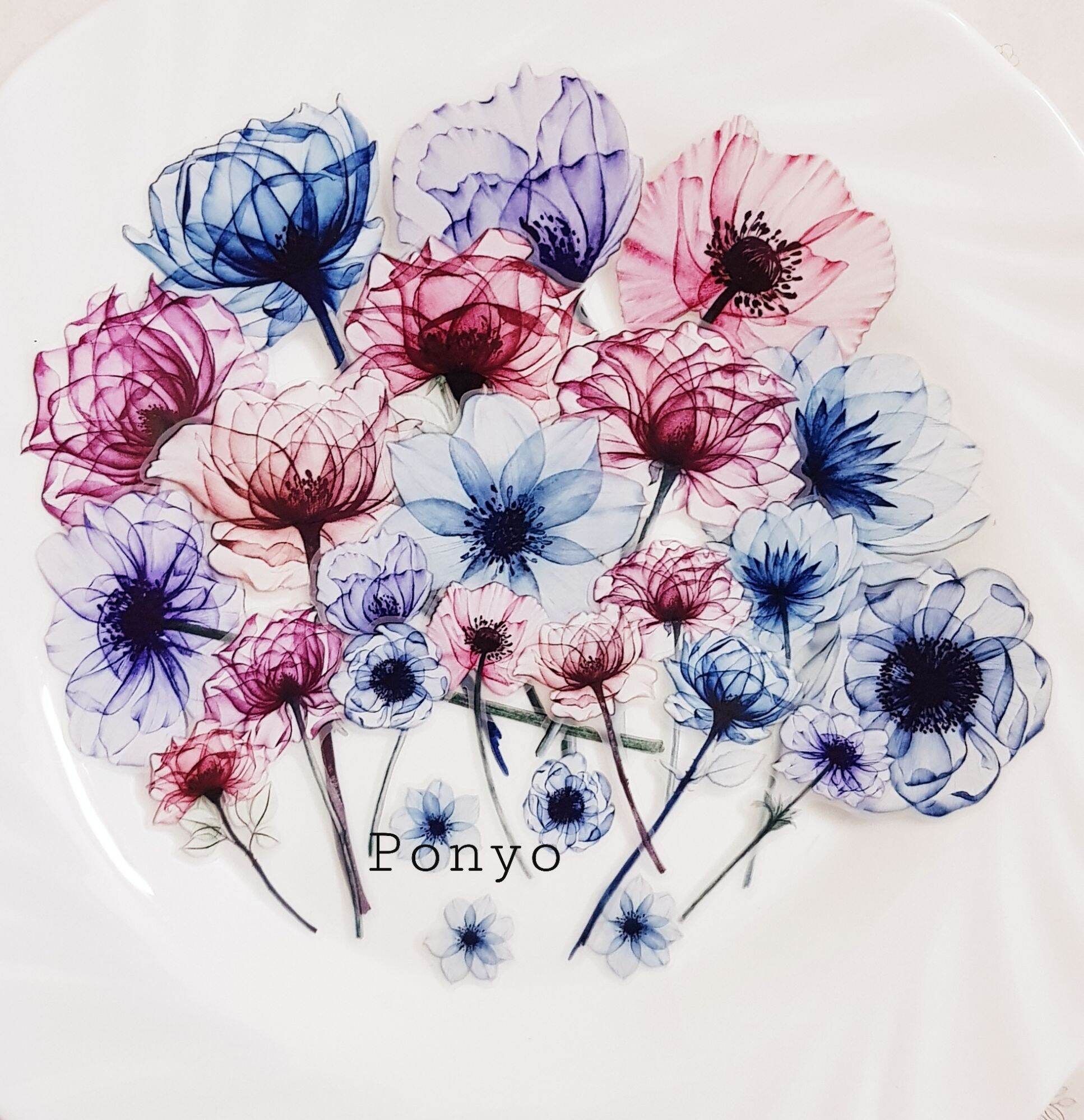Chiết 1 chu kì washi Touming_Loidesign