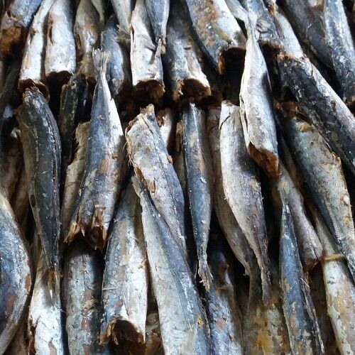 1kg cá nục khô xuất khẩu