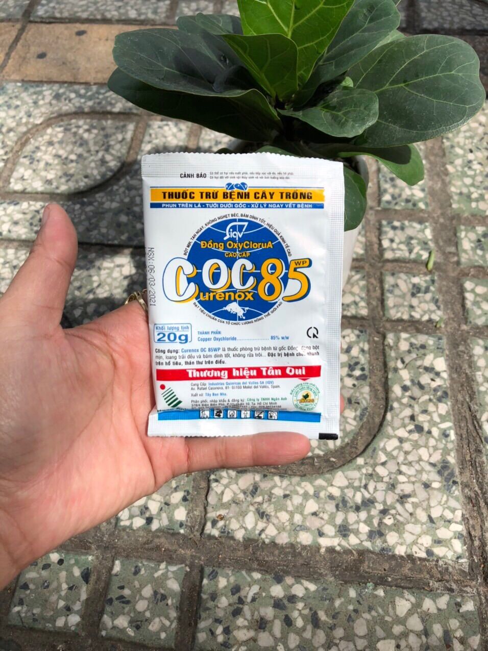 COC85 Thuốc trừ nấm & diệt vi khuẩn gốc đồng ( gói 20gr)