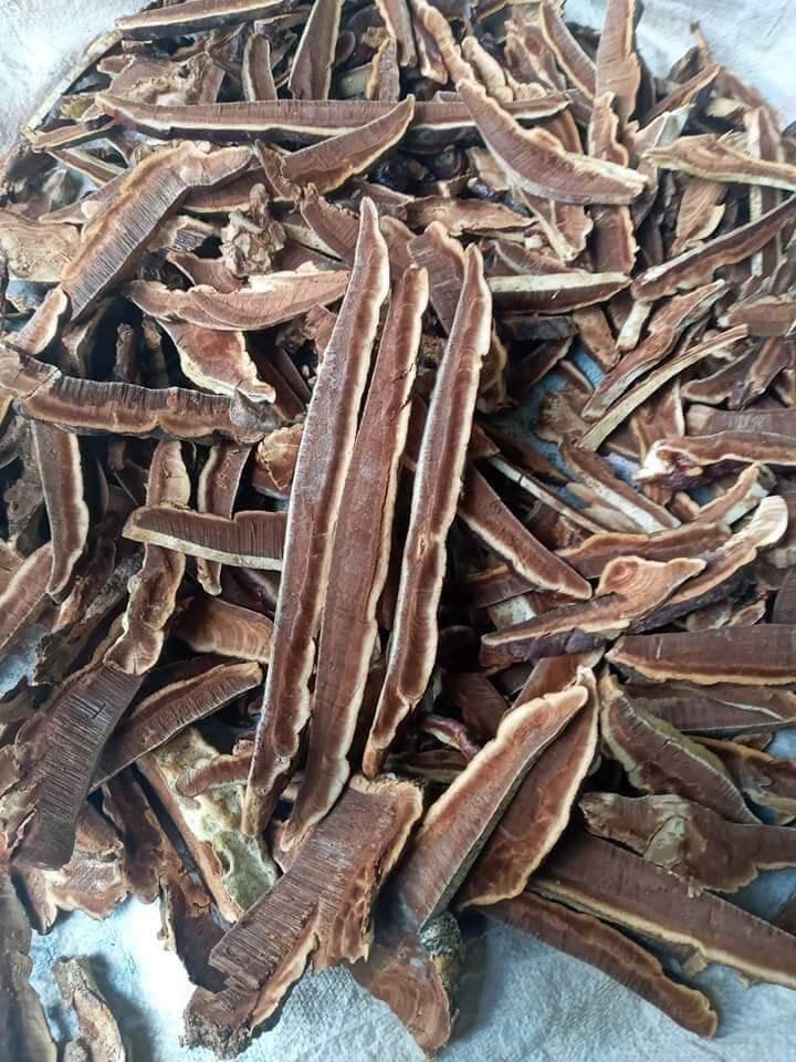 Nấm Linh Chi Rừng Thái Lát 1Kg