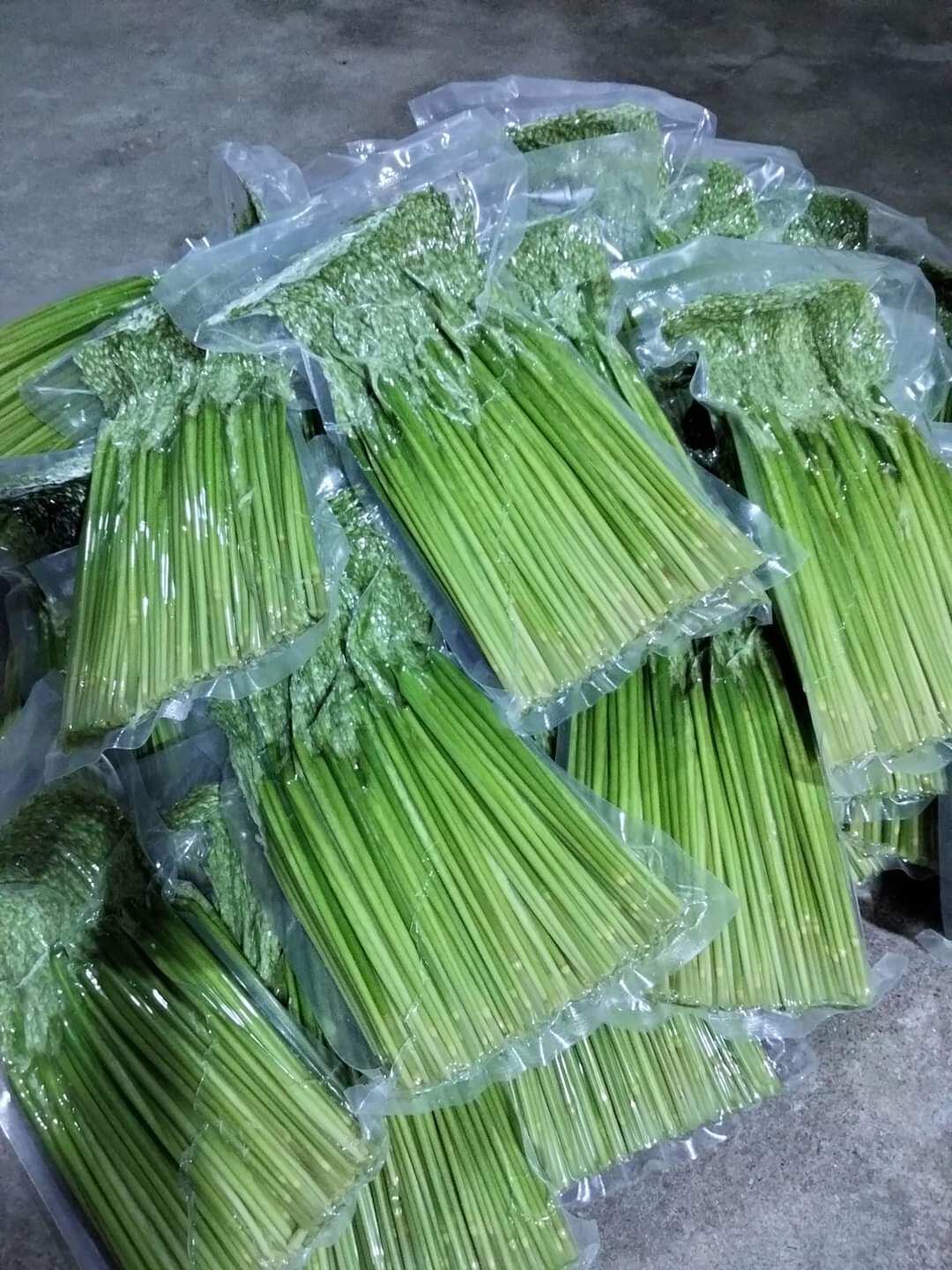 Đòng đòng nếp ngâm rươu