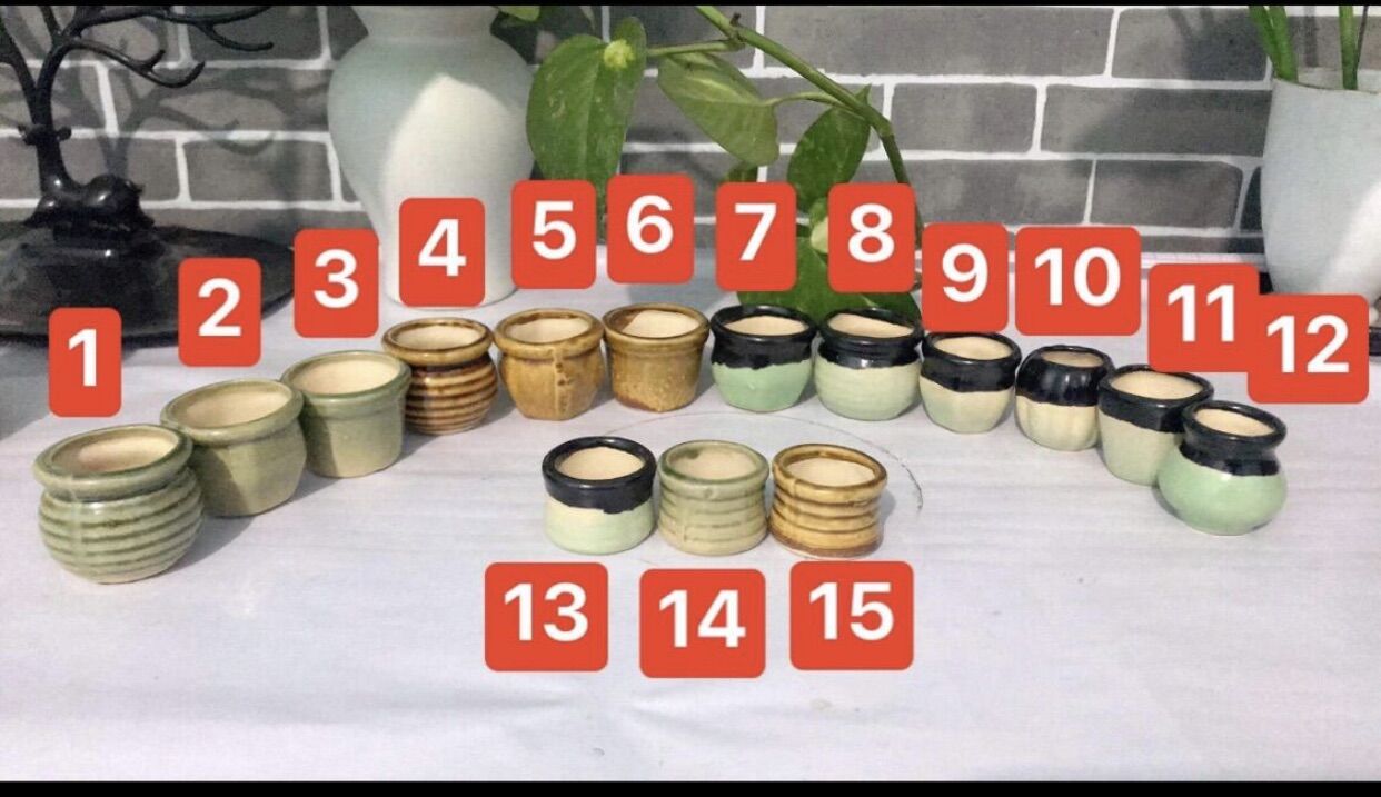 Combo 10 chậu sứ mini (3x3cm) trồng sen đá, làm handmade