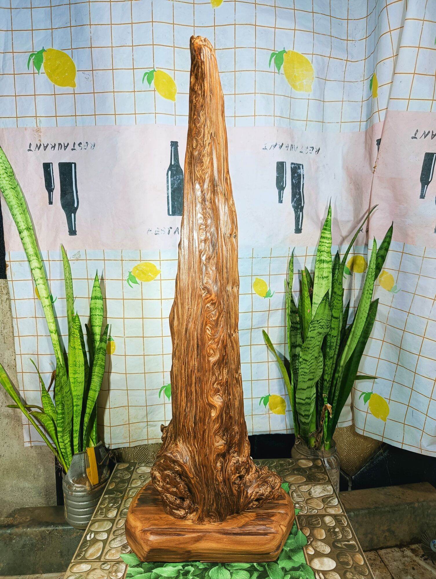 lũa gỗ thơm ngọc am đỏ hà giang