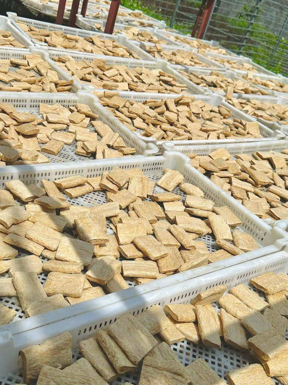 Sườn non chay 500g -1kg