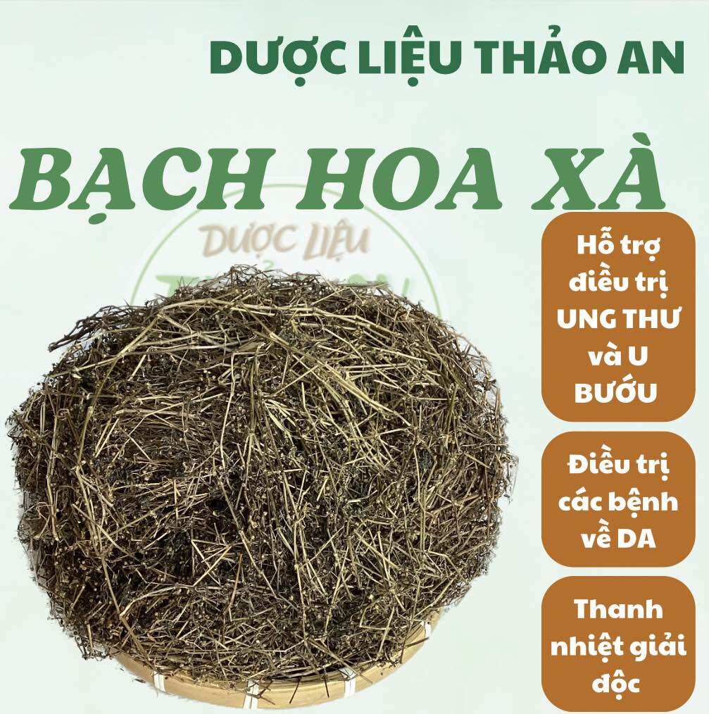 1 kg bạch hoa xà thiệt thảo khô mới sạch đẹp, lᴏại 1 - cơ sở dượᴄ liệu thảo an