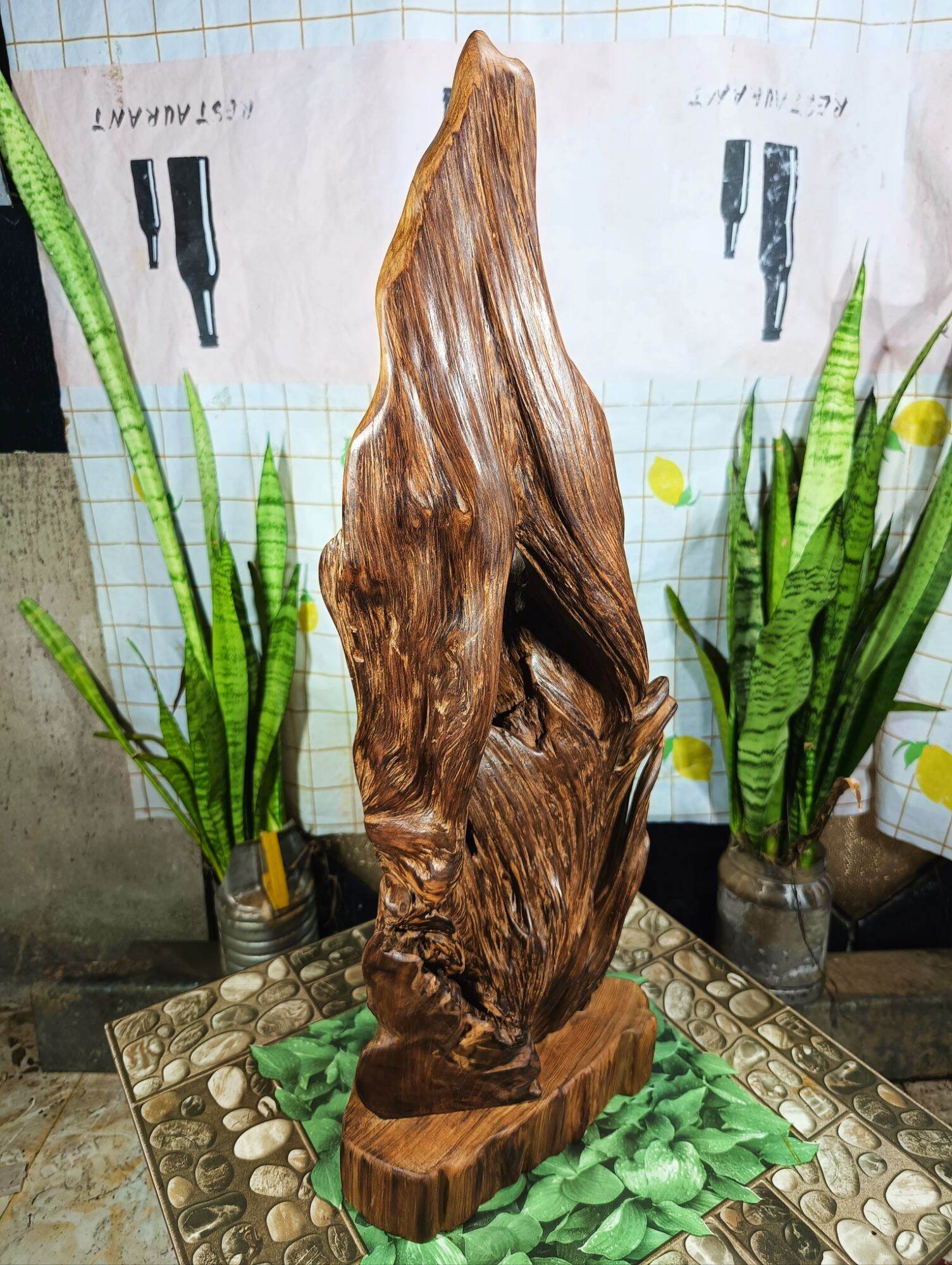 lũa ngọc am đỏ hà giang, chơi được nhiều thế
