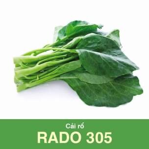 Combo 6 gói hạt giống các loại rau cải